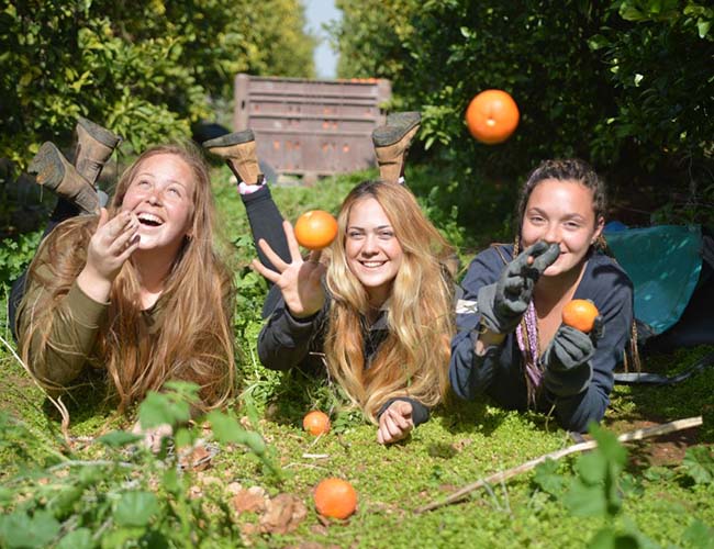 חקלאות בעמק