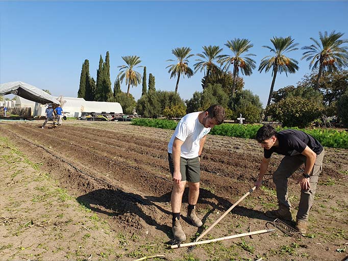 עושים טוב בעמק - חקלאות